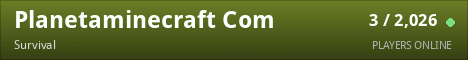 Planetaminecraft Com