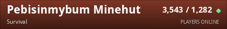 Pebisinmybum Minehut