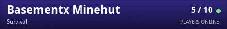 Basementx Minehut