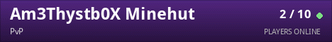 Am3Thystb0X Minehut