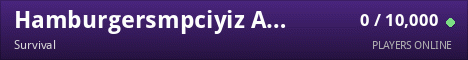 Hamburgersmpciyiz Aternos