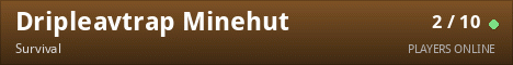 Dripleavtrap Minehut