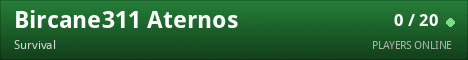 Bircane311 Aternos