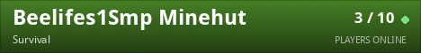Beelifes1Smp Minehut