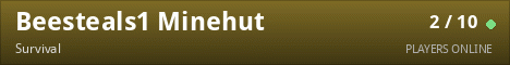 Beesteals1 Minehut