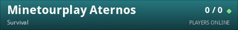 Minetourplay Aternos