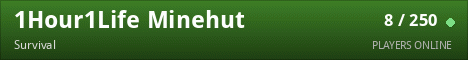 1Hour1Life Minehut