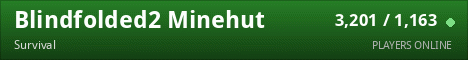 Blindfolded2 Minehut