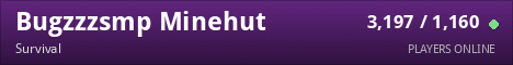 Bugzzzsmp Minehut