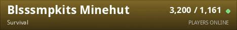 Blsssmpkits Minehut